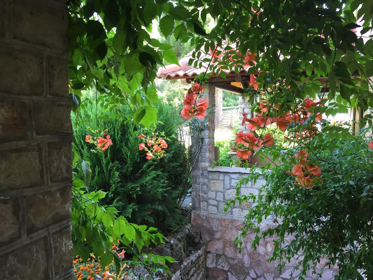 Aphrodite'S Inn Kalavrita Екстериор снимка